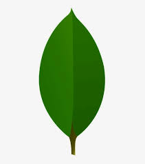 MongoDB